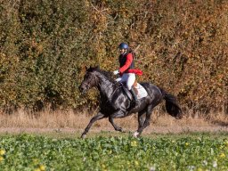 IMG_9819web